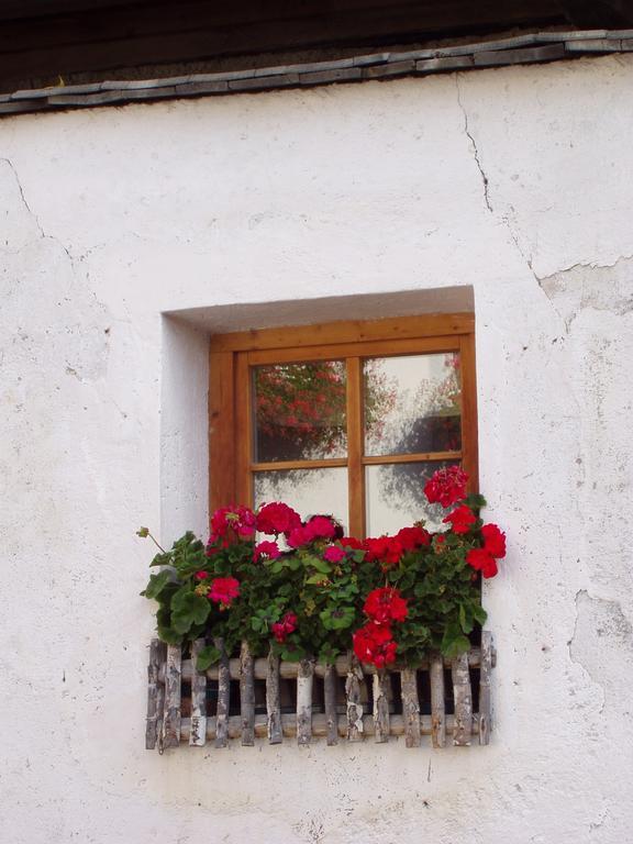 Mansarda Dolomiti Appartement Rasun di Sopra Buitenkant foto